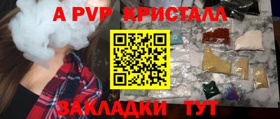 мяу мяу мука Беслан