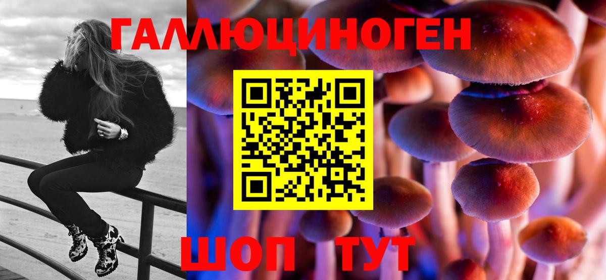 Галлюциногенные грибы GOLDEN TEACHER Звенигород