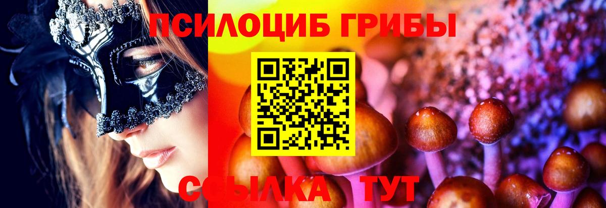 где купить наркоту  Псилоцибиновые грибы ЛСД  Звенигород  Вход с VPN  Галлюциногенные грибы Psilocybine cubensis 